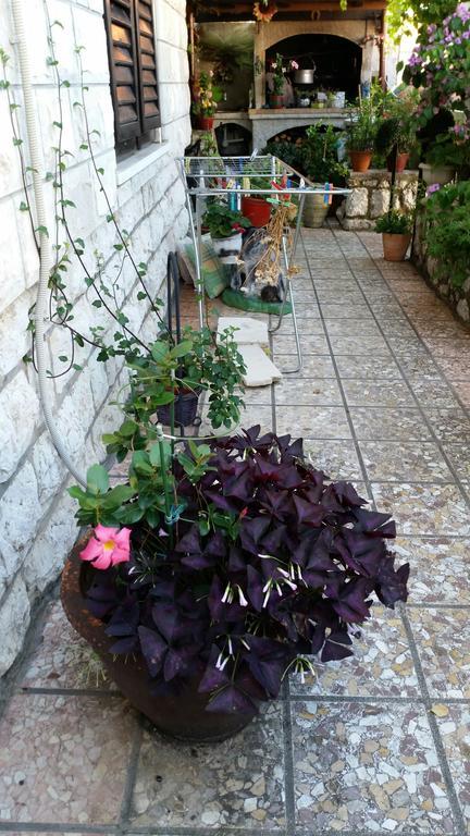 Guesthouse Ivona Dubrovnik Kamer foto